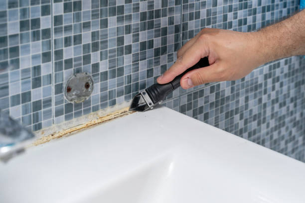 Best Certified Mold Removal  in Plainville, KS